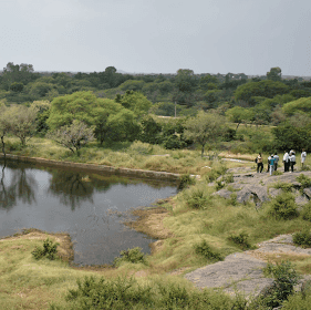 Bajaj Water Conservation Project