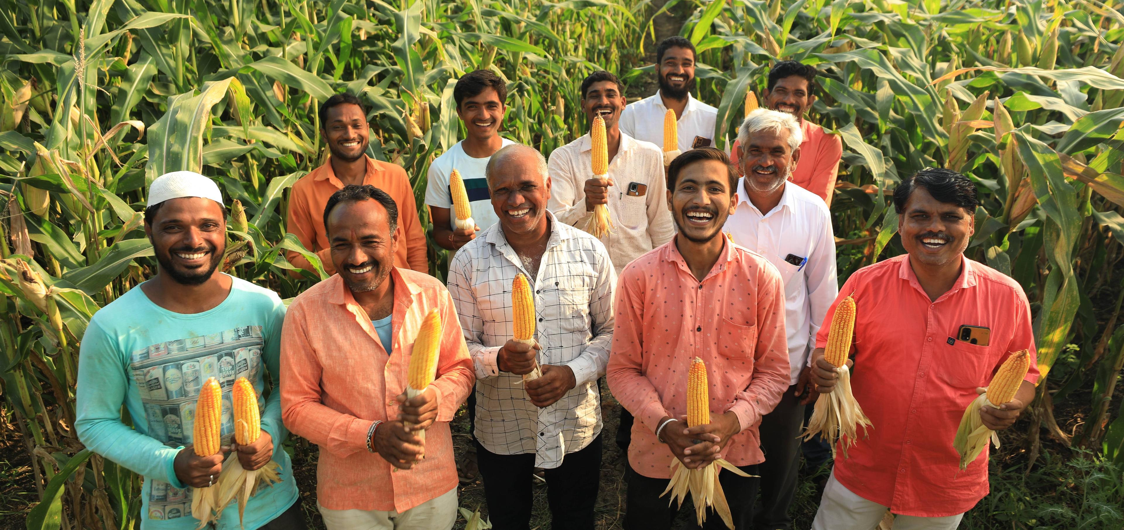 Dahindule village, Nandurbar taluka
